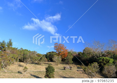 甫喜ヶ峰森林公園 晩秋の雲を眺める (高知県 香美市) 甫喜ヶ峰森林公園 晩秋の雲を眺める (高知県 香美市) 97065235