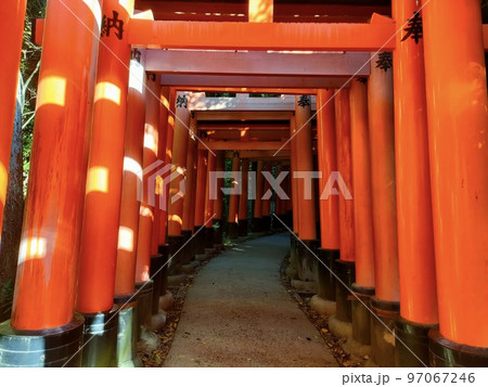 伏見稲荷大社　千本鳥居　京都 97067246