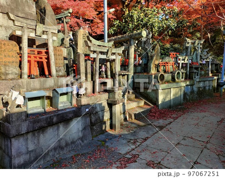 伏見稲荷大社 千本鳥居 京都 伏見稲荷大社 千本鳥居 京都 97067251