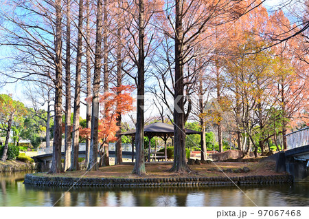 上尾丸山公園の風景　埼玉県上尾市　 97067468