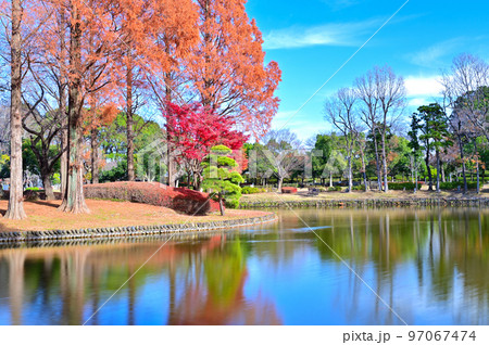 上尾丸山公園の風景　埼玉県上尾市　 97067474