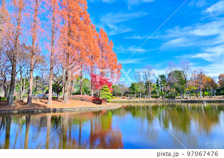 上尾丸山公園の風景　埼玉県上尾市　 97067476