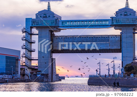 (静岡県)沼津港大型展望水門・びゅうお 群がる海鳥 (静岡県)沼津港大型展望水門・びゅうお 群がる海鳥 97068222