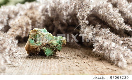 Chrysoprase Crystal on Wood with Dried Herbs Chrysoprase Crystal on Wood with Dried Herbs 97068280