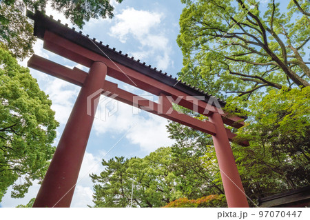 武蔵国一宮 氷川神社 参道の鳥居 97070447