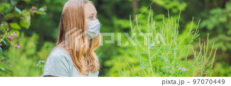 Young woman in a medical mask because of an allergy to ragweed BANNER, long format Young woman in a medical mask because of an allergy to ragweed BANNER, long format 97070449