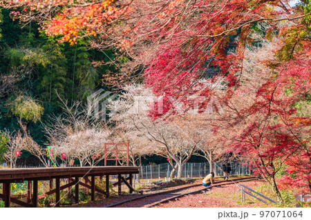 秋の名鉄三河線旧三河広瀬駅〈愛知県豊田市〉 97071064