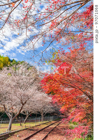 秋の名鉄三河線旧三河広瀬駅〈愛知県豊田市〉 97071068