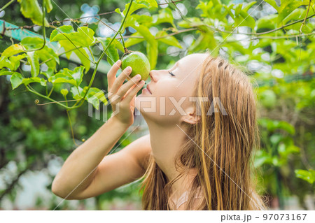 Young woman smelling the passion fruit in the garden Young woman smelling the passion fruit in the garden 97073167