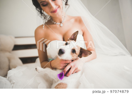 Portrait of beautiful bride with fashion veil at wedding morning Portrait of beautiful bride with fashion veil at wedding morning 97074879