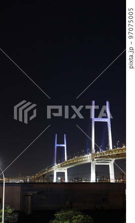 大黒ふ頭から見た横浜ベイブリッジの夜景 97075005