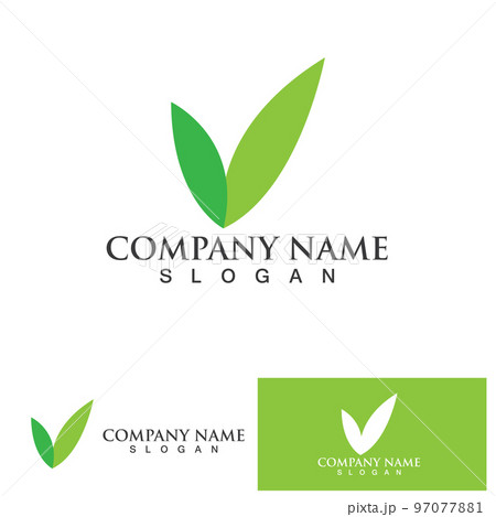 Leaf logo vector icon design template 97077881