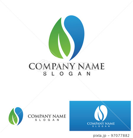 Water leaf Logo Template vector illustration design Water leaf Logo Template vector illustration design 97077882