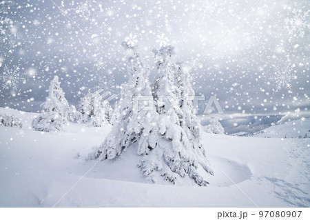 magical frozen winter landscape with snow covered fir trees magical frozen winter landscape with snow covered fir trees 97080907