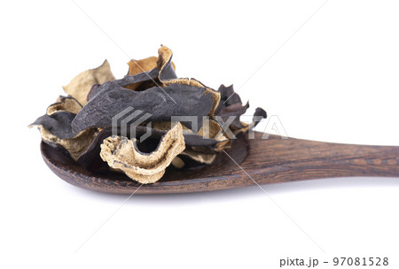 Dry black fungus in wooden spoon, isolated on white background. Chinese black mushroom or tree black muer mushroom. Auricularia polytricha. 97081528