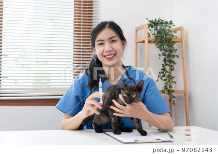 Veterinarian woman in blue uniform is holding syringe and vaccinate to treatment a cat of pet appointment Veterinarian woman in blue uniform is holding syringe and vaccinate to treatment a cat of pet appointment 97082143