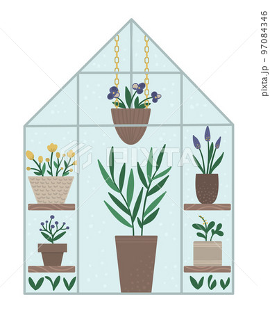 Vector greenhouse with plants in pots and flowers. Flat hot house illustration isolated on white background. Front view greenroom picture. Spring garden illustration. 97084346