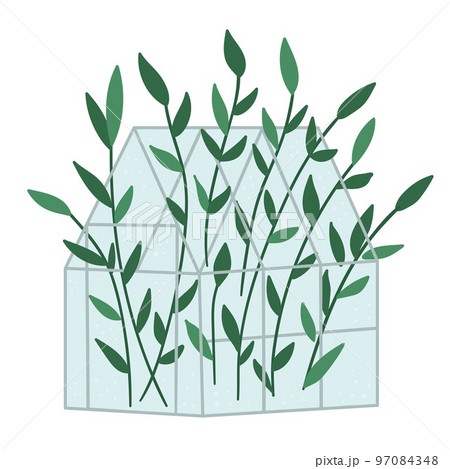 Vector greenhouse with green plants. Flat hot house illustration isolated on white background. Side view greenroom picture. Spring garden illustration. 97084348
