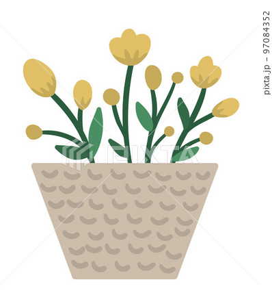 Vector illustration of plant in pot with green leaves and yellow flowers. Flat trendy hand drawn houseplant for home gardening design. Beautiful spring and summer herb 97084352