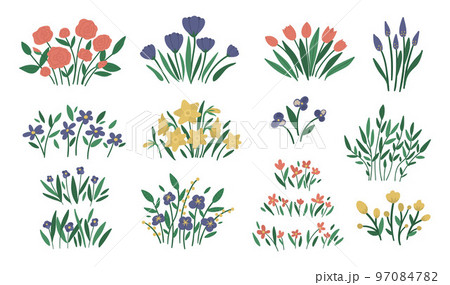 Vector illustration of different flower arrangements. Garden decorative plants bouquets. Collection of beautiful spring and summer herbs and flowers. Vector illustration of different flower arrangements. Garden decorative plants bouquets. Collection of beautiful spring and summer herbs and flowers. 97084782