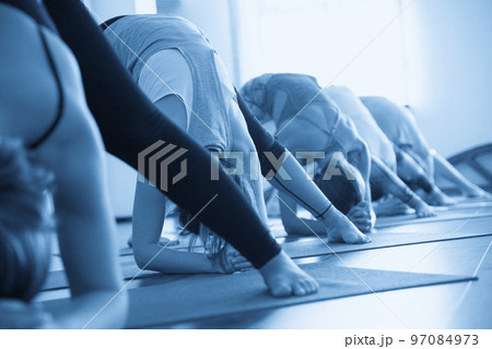Yoga Class, Group of People Relaxing and Doing Yoga pose. Wellness and Healthy Lifestyle. 97084973