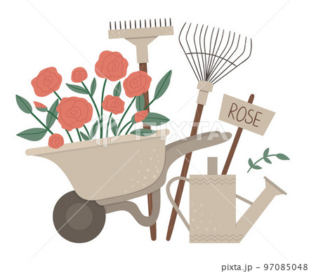 Vector illustration of colorful garden wheel barrow with rose flowers, rakes, watering can. Cartoon style spring or summer picture isolated on white background. Gardening themed concept. 97085048
