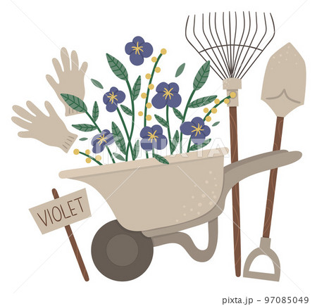 Vector illustration of colorful garden wheel barrow with violet flowers, rakes, spade, gloves. Cartoon style spring or summer picture isolated on white background. Gardening themed concept. Vector illustration of colorful garden wheel barrow with violet flowers, rakes, spade, gloves. Cartoon style spring or summer picture isolated on white background. Gardening themed concept. 97085049