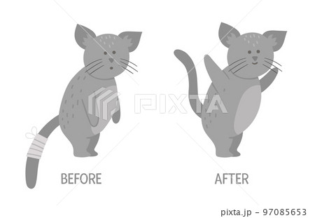 Vector ill animal versus healthy. Cute cat with bandage on its tail. Funny patient characters. Medical illustration for children. Before and after illness picture. Recovery concept Vector ill animal versus healthy. Cute cat with bandage on its tail. Funny patient characters. Medical illustration for children. Before and after illness picture. Recovery concept 97085653