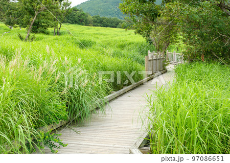 タデ原湿原 97086651