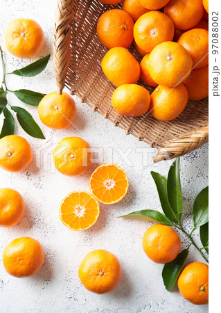 ざるに盛ったみかん ざるに盛ったみかん 97088002