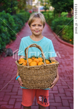 Cute caucasian boy wicker basket full of fresh orange fruits 97088053
