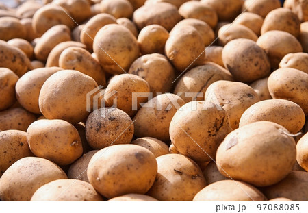 Patatoes lined on a counter of open market Patatoes lined on a counter of open market 97088085