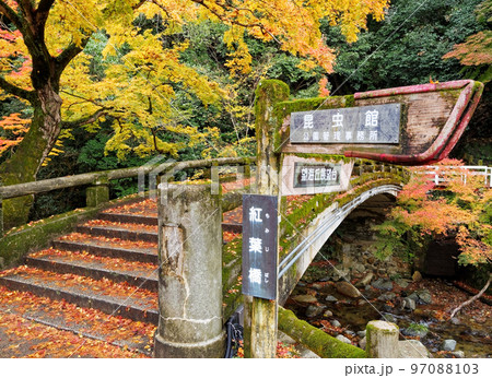 大阪府箕面公園 滝道の紅葉橋 大阪府箕面公園 滝道の紅葉橋 97088103