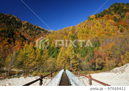 長野県大町市平　高瀬ダム調整湖そばの不動沢のつり橋と青空の下の紅葉 97088422