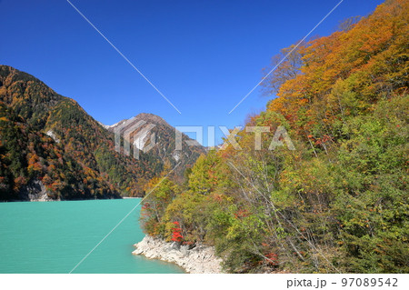長野県大町市平　鮮やかなエメラルドグリーンの高瀬ダム調整湖の紅葉と山頂にうっすら冠雪した山々 97089542