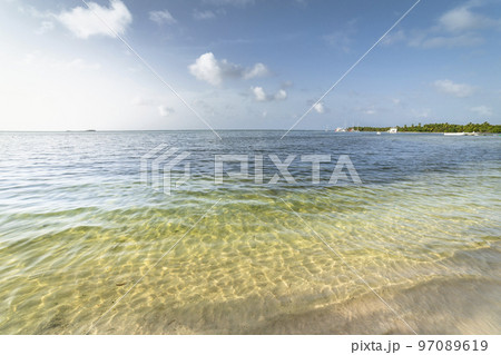 Palm trees and Tropical idyllic beach in Punta Cana, turquoise caribbean sea 97089619
