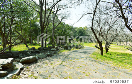 晴れの日の公園の広場 晴れの日の公園の広場 97089687