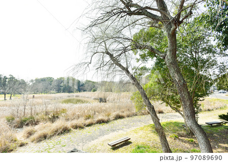 晴れの日の公園の広場 97089690