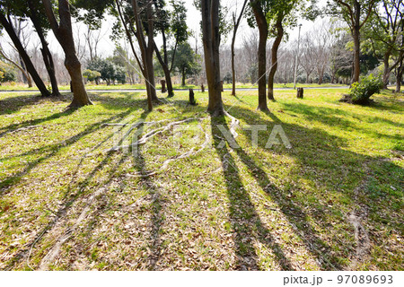 晴れの日の公園の広場 晴れの日の公園の広場 97089693