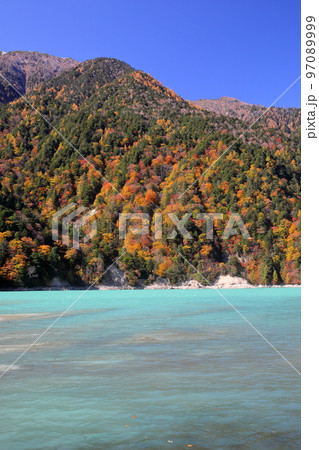 長野県大町市平　鮮やかなエメラルドグリーンの高瀬ダム調整湖と青空に映える紅葉 97089999