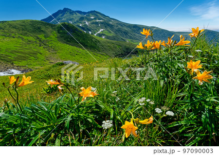 御浜から見る鳥海山とニッコウキスゲ 97090003