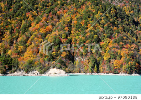長野県大町市平　鮮やかなエメラルドグリーンの湖面の高瀬ダム調整湖と湖畔の紅葉 97090188