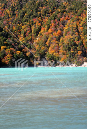 長野県大町市平 鮮やかなエメラルドグリーンの湖面の高瀬ダム調整湖と湖畔の紅葉 長野県大町市平 鮮やかなエメラルドグリーンの湖面の高瀬ダム調整湖と湖畔の紅葉 97090190