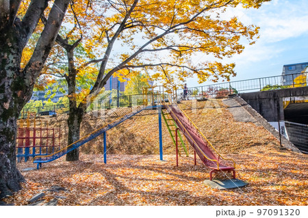 平和大通りの最西端の新己斐橋東詰め公園風景です。朝の鮮やかな紅葉した市街地風景をどうぞ。広島県 97091320