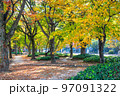 平和大通りの福島町電停前の公園風景です。綺麗に紅葉した市街地の風景をどうぞ。広島県 97091322