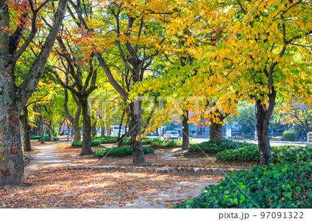 平和大通りの福島町電停前の公園風景です。綺麗に紅葉した市街地の風景をどうぞ。広島県 97091322