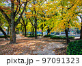 平和大通りの福島町電停前の公園風景です。綺麗に紅葉した市街地の風景をどうぞ。広島県 97091323