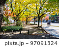 平和大通りの西消防署前の公園から見た、秋の市街地風景です。綺麗に紅葉した雰囲気をどうぞ。広島県 97091324