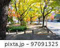 平和大通りの西消防署前の公園から見た、秋の市街地風景です。綺麗に紅葉した雰囲気をどうぞ。広島県 97091325