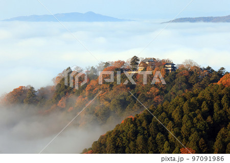 天空城6578 97091986